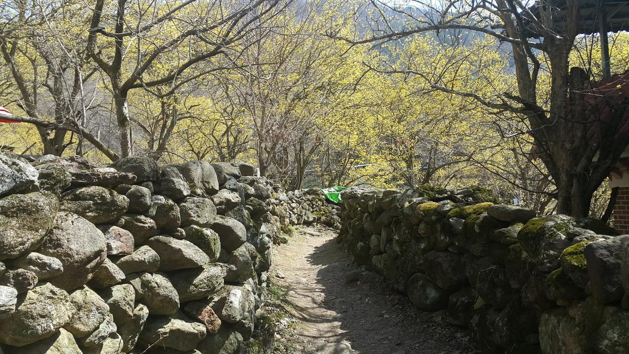 Gurye Guesthouse Buitenkant foto